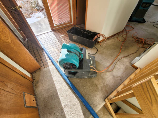 Best Water damage cleanup near me  in Madera Acres, CA