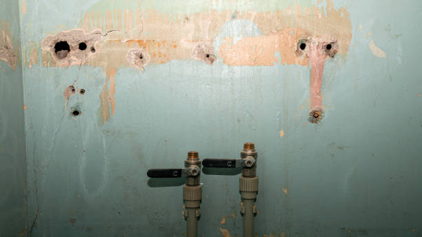 Best 24-hour water damage restoration  in Madera Acres, CA